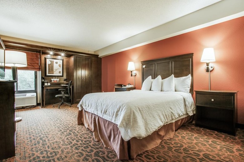 Hotel Hampton Inn San Antonio-downtown