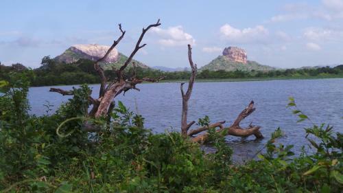 Sigiriya Camellia Home Stay