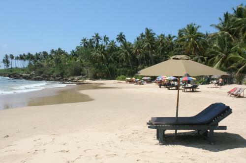 Saman Homestay