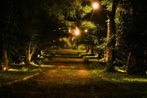 Great Circle Cabanas