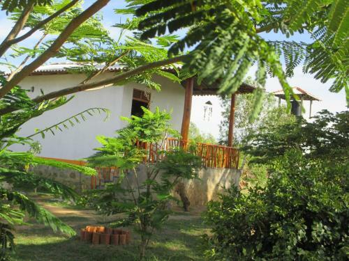 Lodge Coconut Island