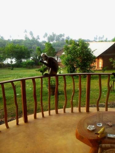 Hostal Eagles Nest Cabanas