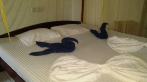 Hostal Gayana Guest House