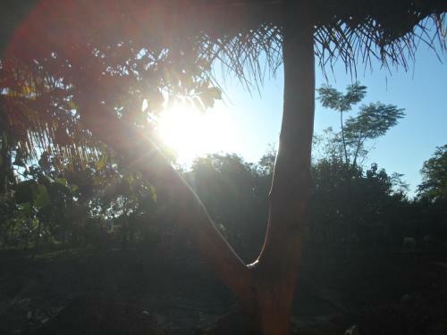 Sunshadow Chalet