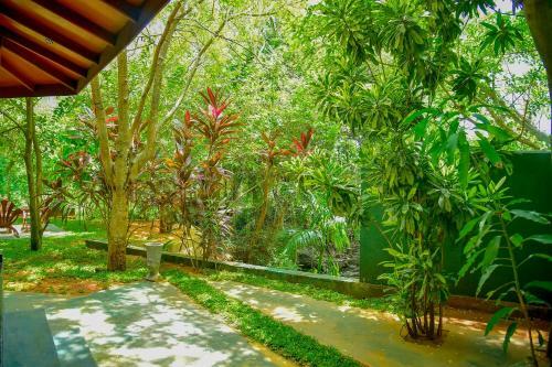 Bed & Breakfast Richards Cabanas
