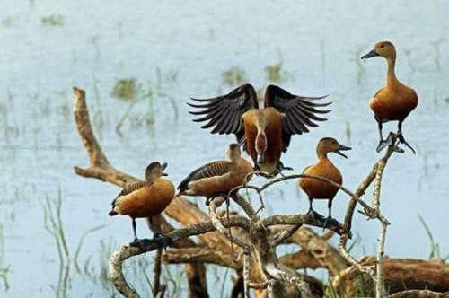 Hostal Lena's Guest House