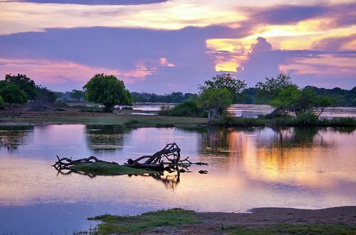 Hostal Yala Leopard Paradise Safari