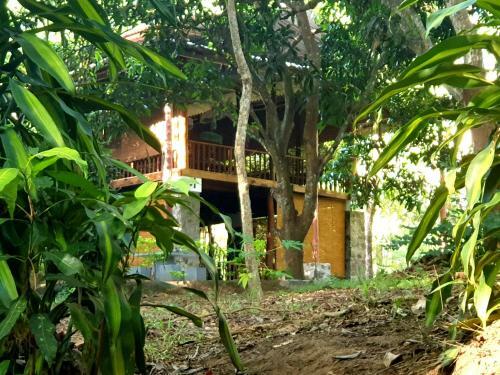 Jungle House