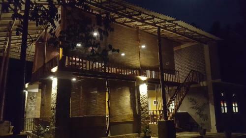 Jungle House