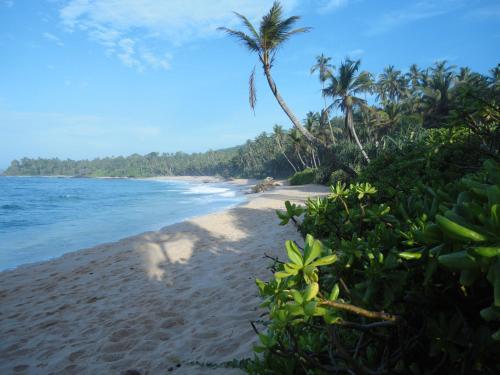 Hostal The Tangalle Private House