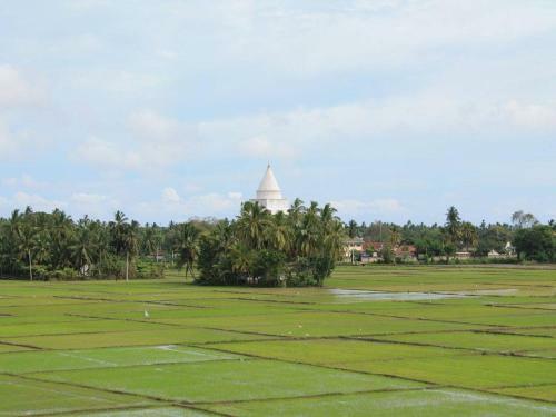 Serene Park Hotel