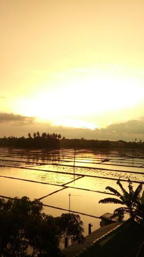 Serene Park Hotel