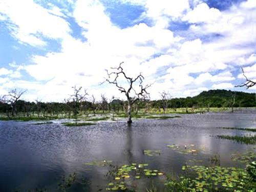 Hotel Nature Resort