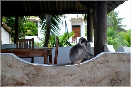 Hotel Villasiri And Leon Beach Paradise