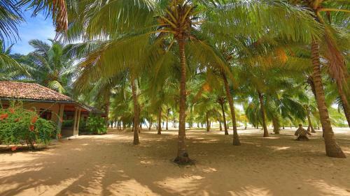 Mangrove Beach Chalets