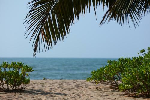 Mangrove Beach Chalets