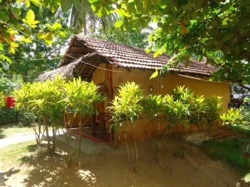Bed & Breakfast Natural Cabanas