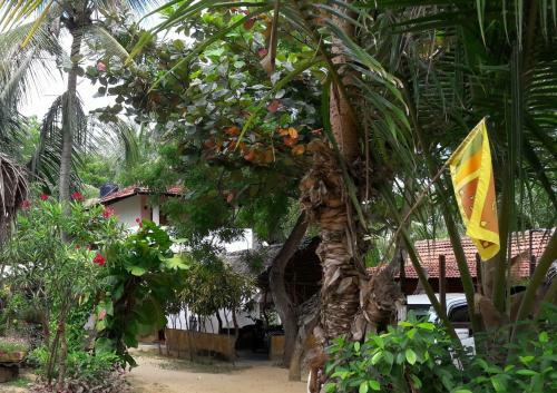 Bed & Breakfast Natural Cabanas