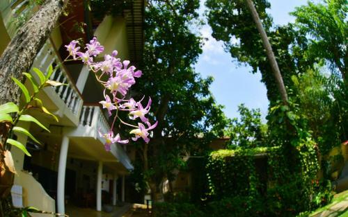 Hostal Sea Breeze Guest House