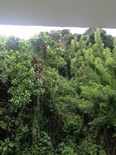 Hostal Holiday Inn Unawatuna