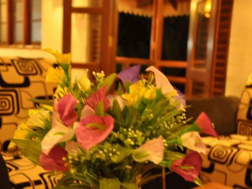 Bed & Breakfast Helis Place