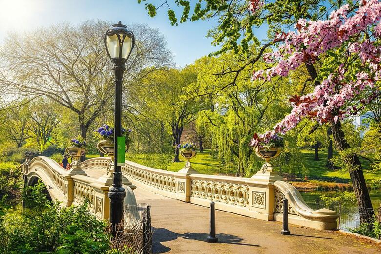 Hotel Ritz-carlton New York Central Park