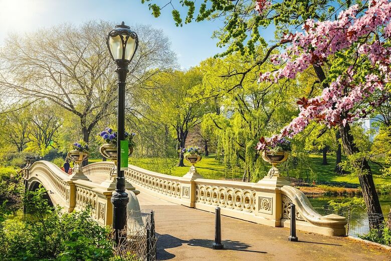 Hotel Ritz-carlton New York Central Park