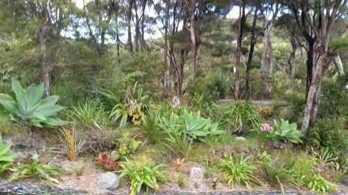 Hostal Waikare Retreat
