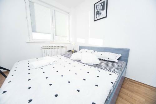 Hostel Hertz