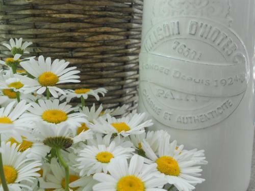 Bed & Breakfast Les Chambres Du Vivier