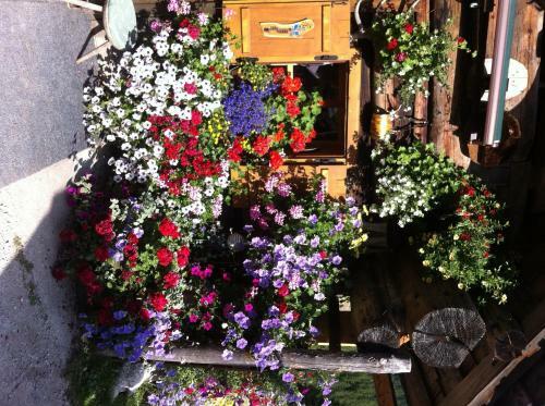 Hostal Andrea Schmaranzer - Privatzimmer