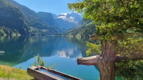 Hostal Appartement Alpenblick