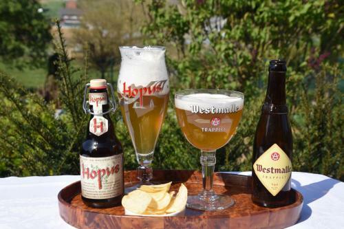 Hostal Rectoversovv