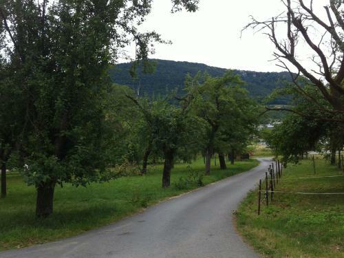 Apartamento Ferienwohnung Heike