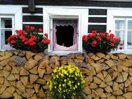 Hostal Penzion U Pir�ta