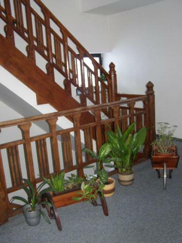 Hostal Guest House Akron