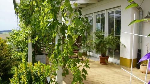 Apartamento Ferienwohnung Landidylle