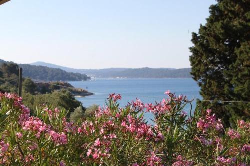 Hostal Apartment Mali Losinj 2496a