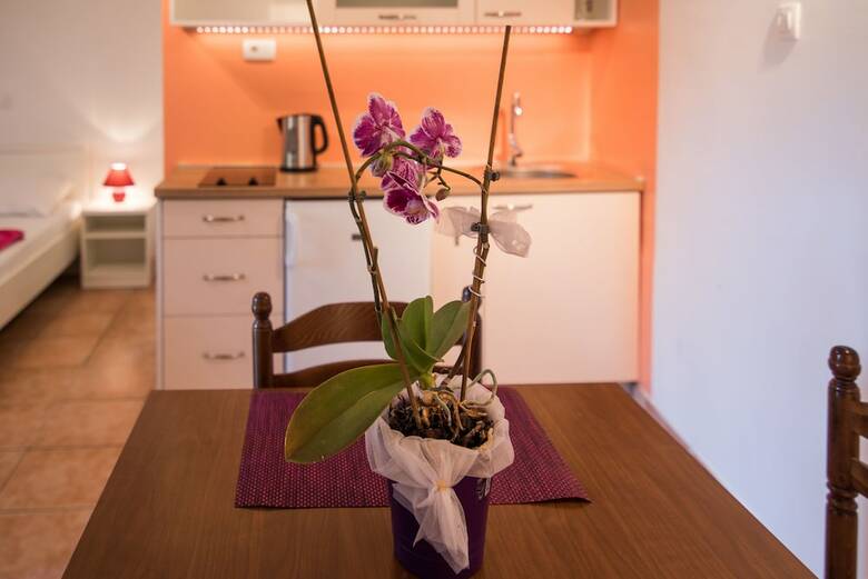 Apartments Rajko