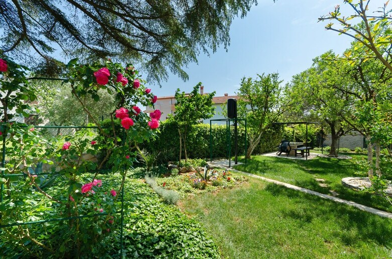 Apartments Dragutin