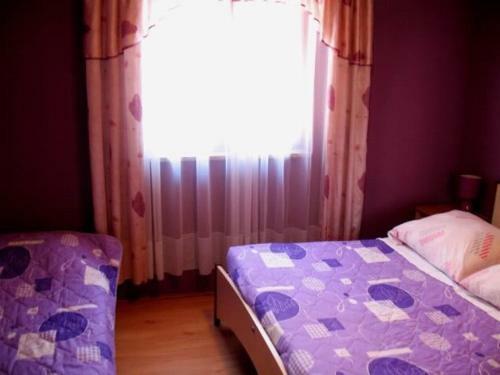 Apartments Damir
