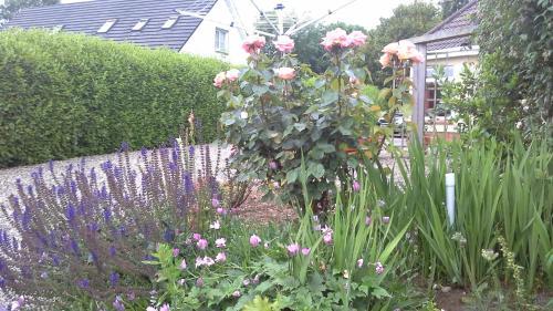 Blossom Hill Bed And Breakfast
