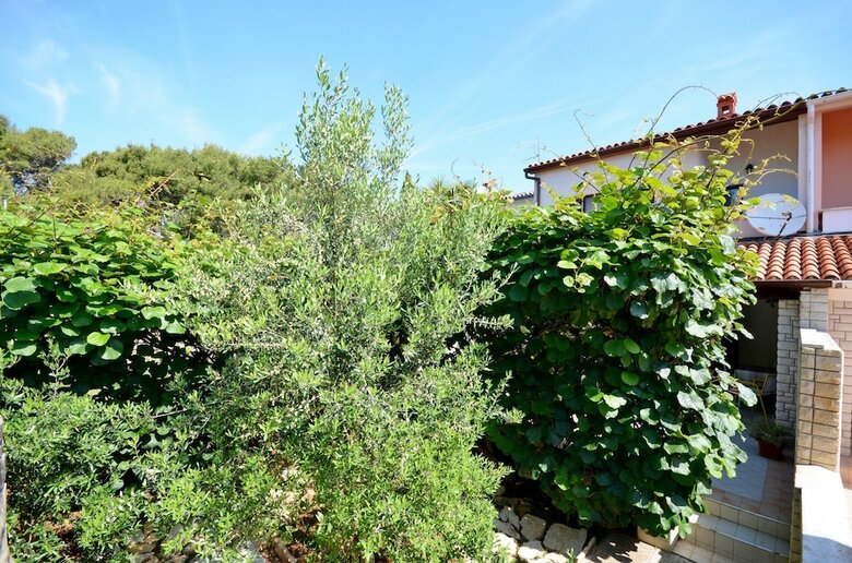 House Blagoje