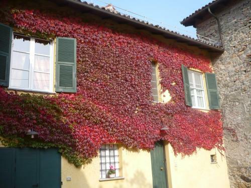 Agroturismo Cascina Formighezzo
