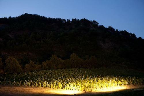 Agroturismo Cascina Formighezzo