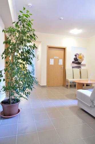 Vikt�ria Wellness Hotel