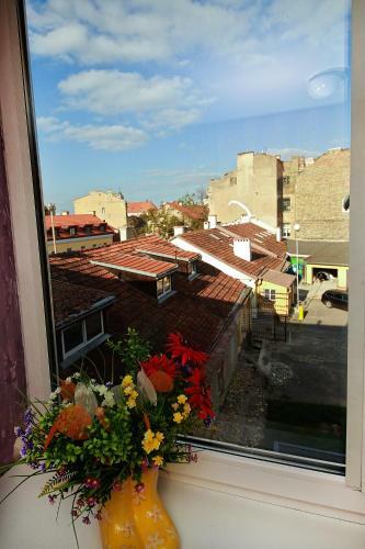 Bed & Breakfast Sodu Hostel