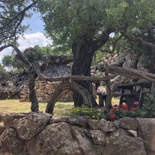 Agroturismo Il Rifugio