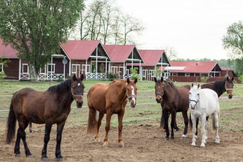 Agroturismo Akac-tanya