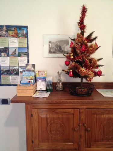 B&B La Salina